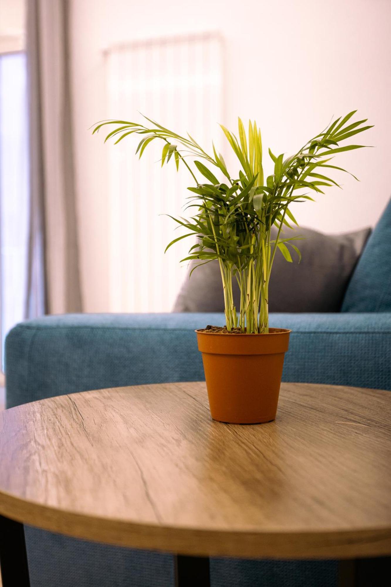 Song House Apartment Centro Storico 7 Pax Naples Luaran gambar